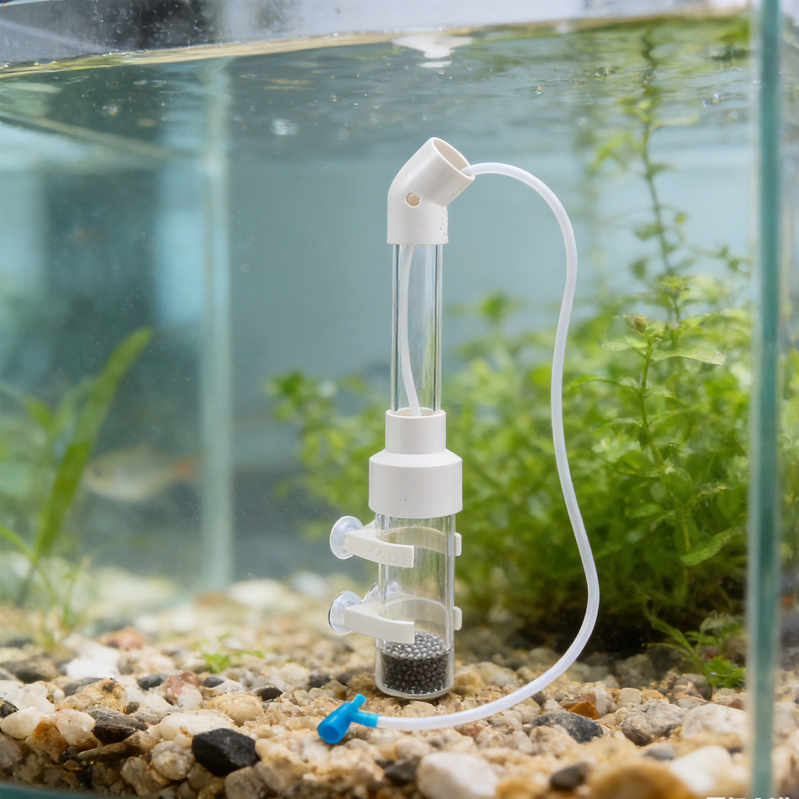 2 Sets Fisch-Ei-Inkubator-Set  – Aquarium Fish Eggs Bewertung und Preis