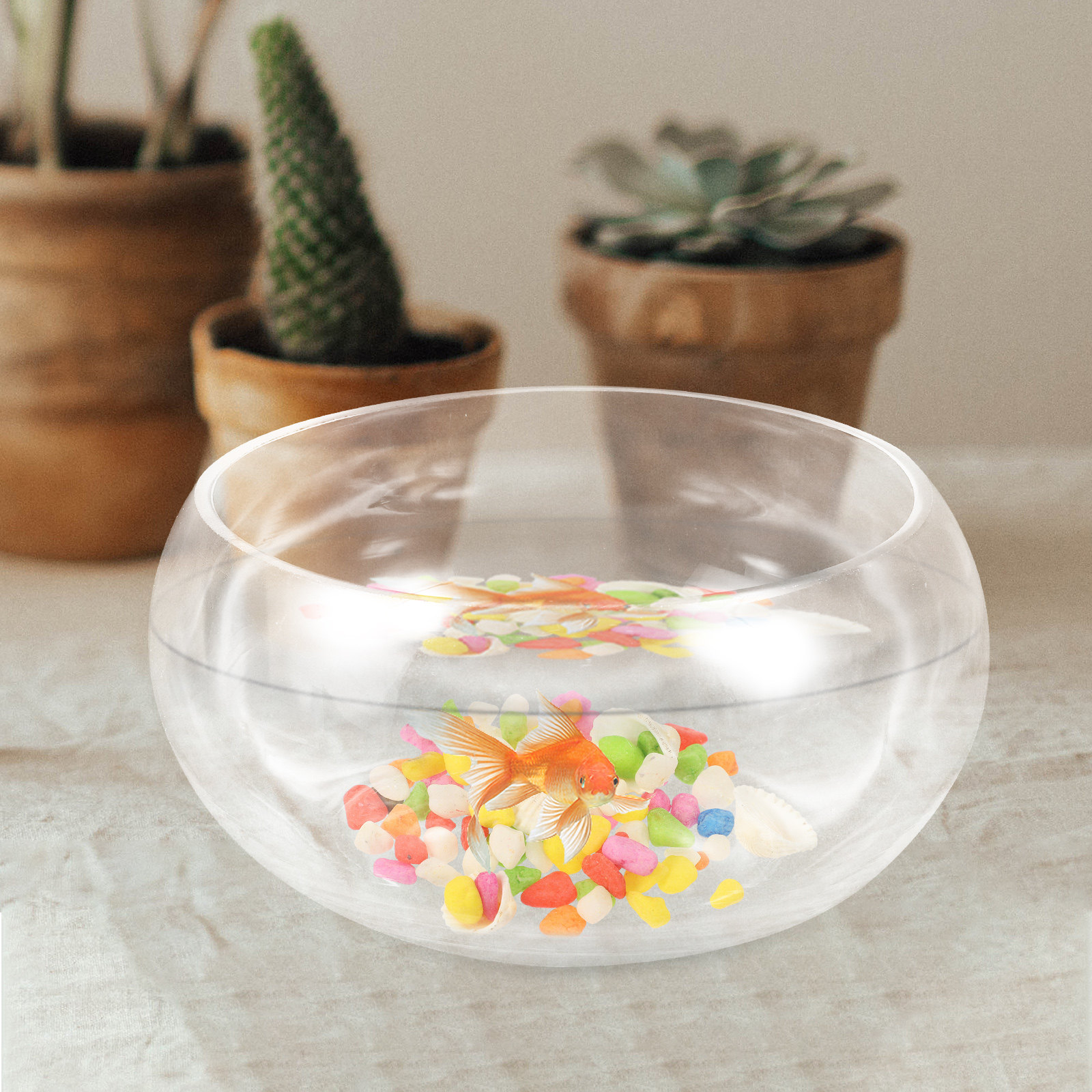 1 Set Fischglas, rundes Aquari – Aquarium Fish Goldfish Bewertung und Preis