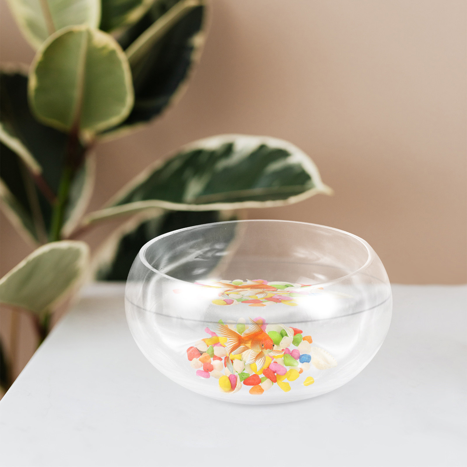 1 Set Fischglas, rundes Aquari – Aquarium Fish Goldfish Bewertung und Preis