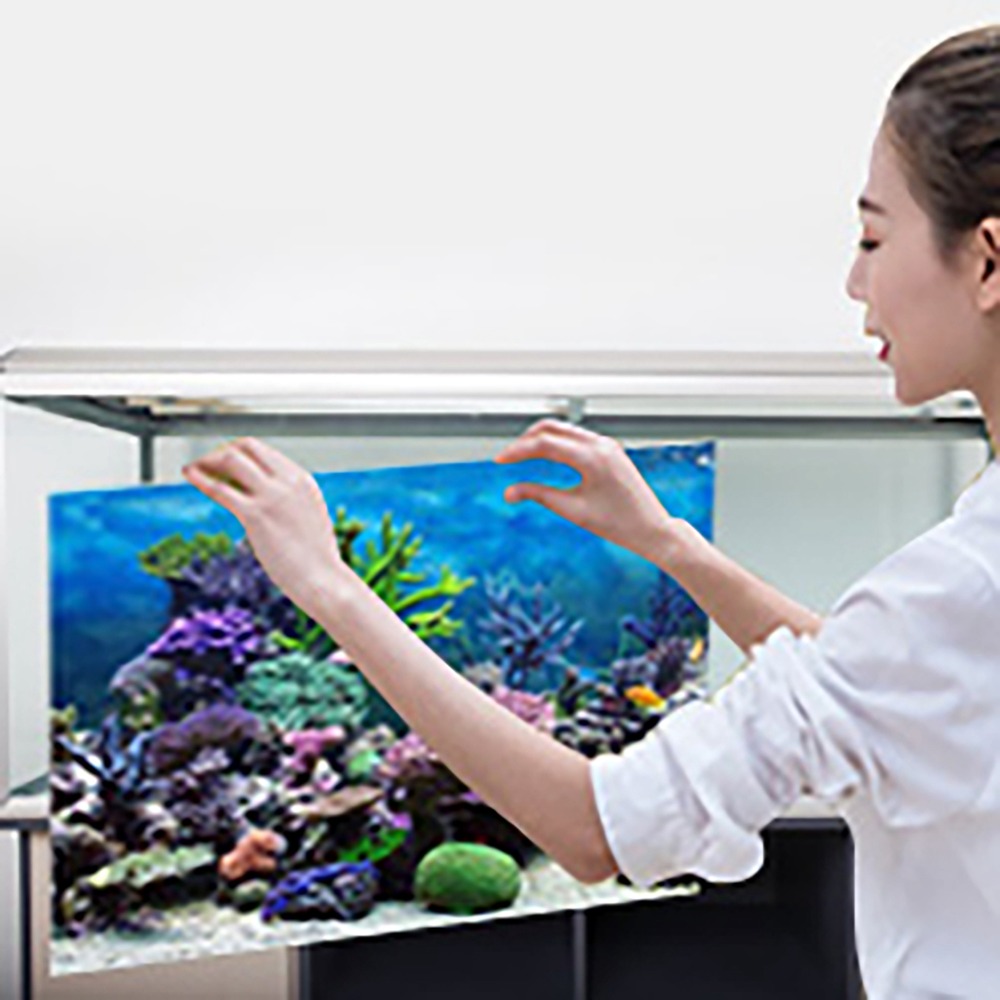 PVC Aquarium Hintergrund Poste – Aquarium Fish Poster Bewertung und Preis