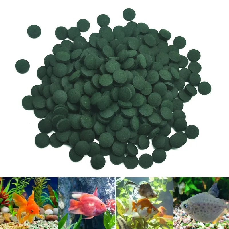 50–300 Stück hochreine Spiruli – Aquarium Fish Eggs Bewertung und Preis