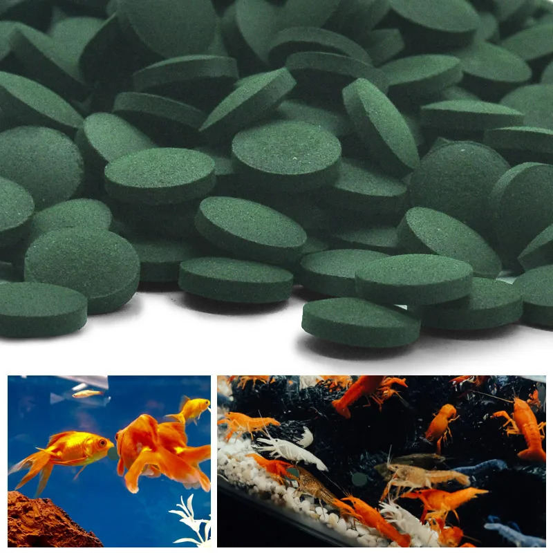 50–300 Stück hochreine Spiruli – Aquarium Fish Eggs Bewertung und Preis