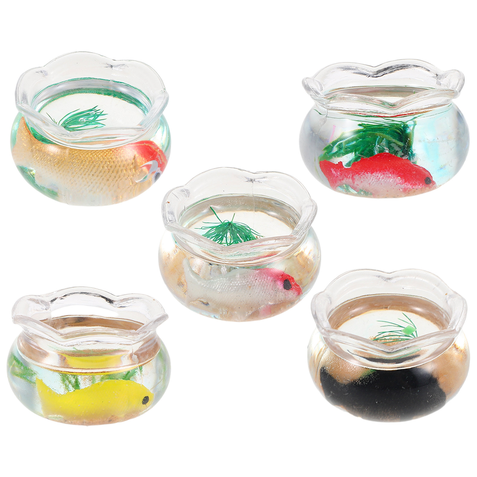 5 Stück Mini-Aquarium mit real – Aquarium Fish Goldfish Bewertung und Preis