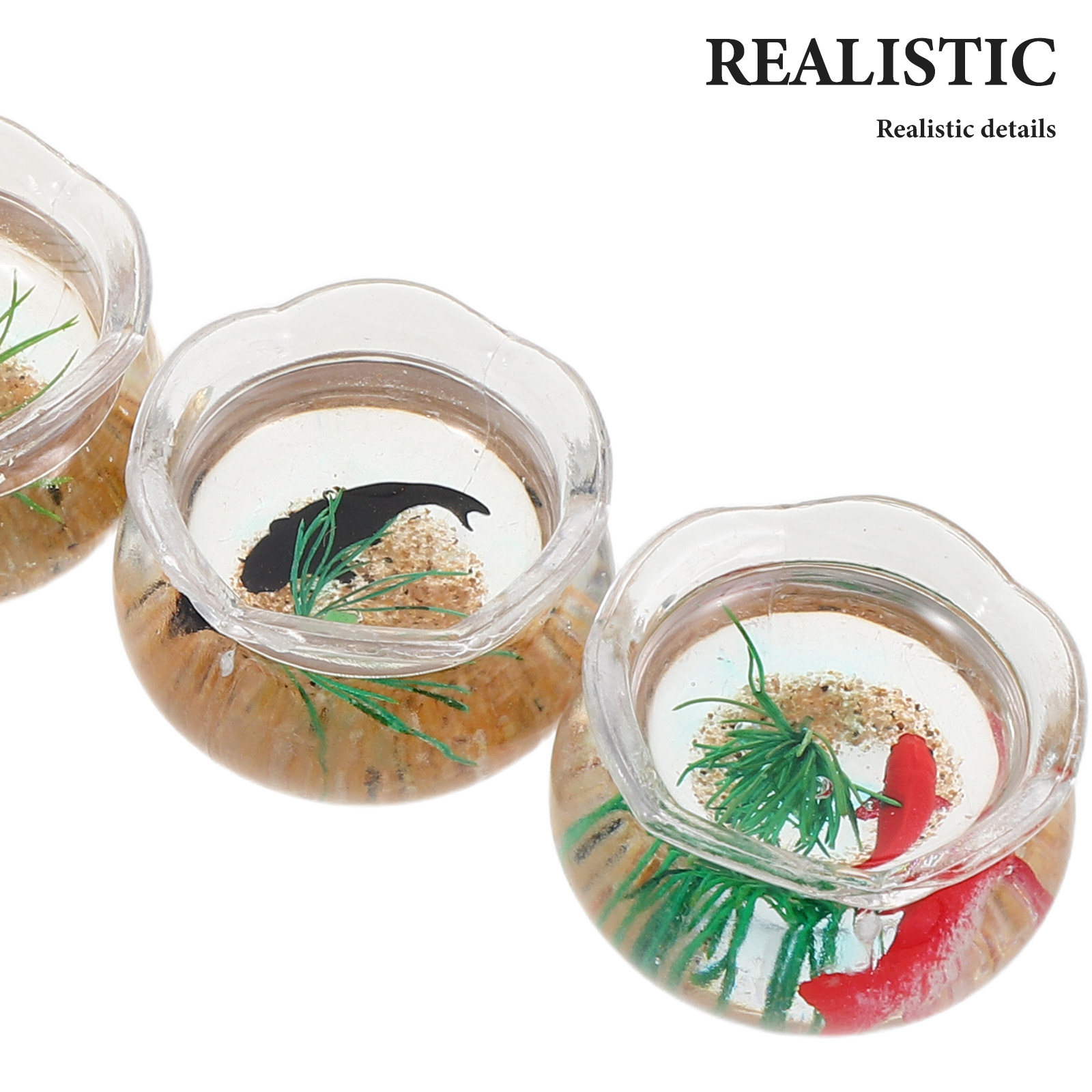 5 Stück Mini-Aquarium mit real – Aquarium Fish Goldfish Bewertung und Preis