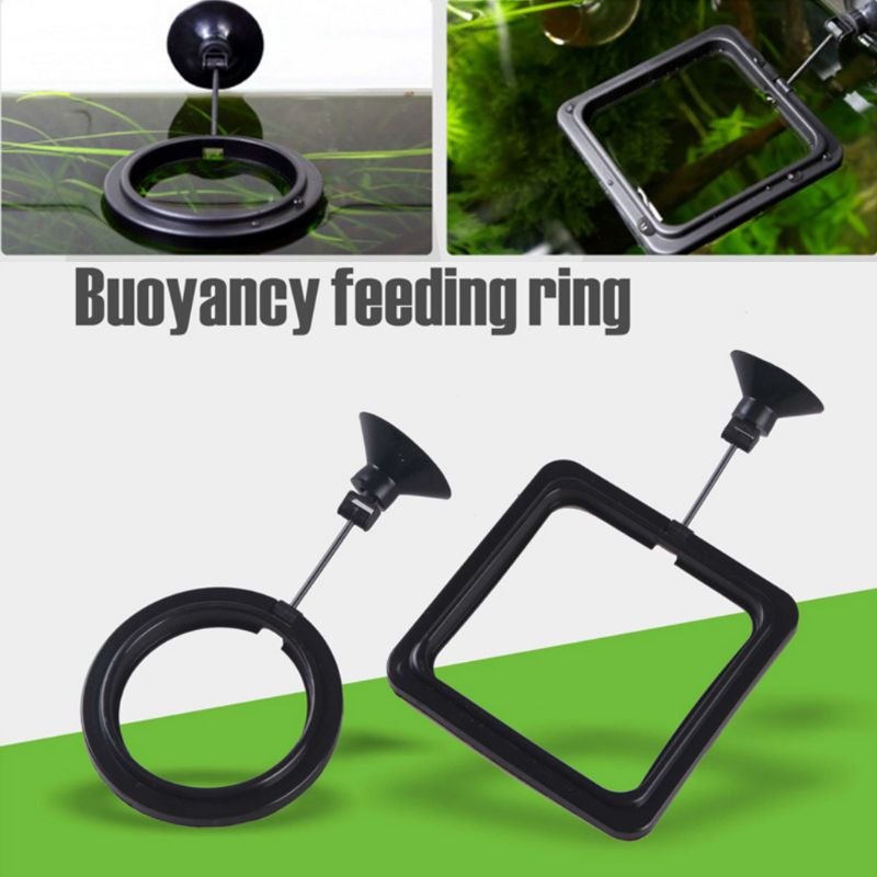 Aquarium Fisch Fütterung Ring  – Aquarium Fish Medicine Bewertung und Preis