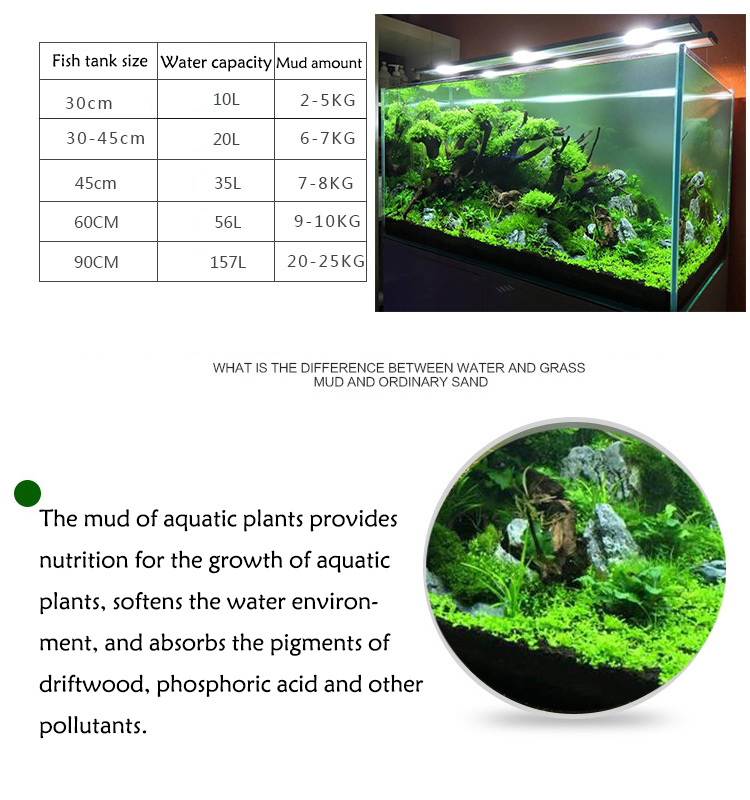 Aquarium Pflanzen Samen Boden  – Aquarium Fish Types Bewertung und Preis