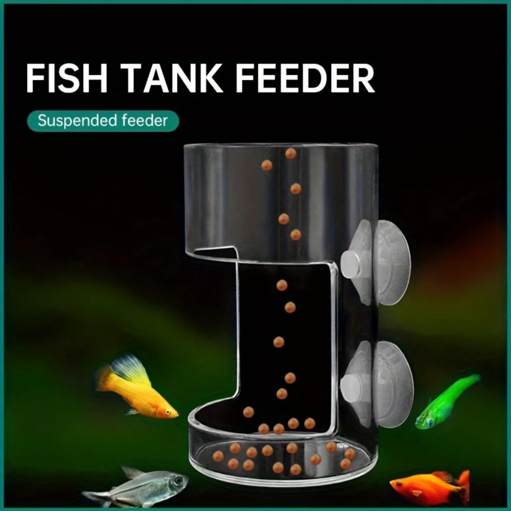 Rutschfester Aquarium-Futterri – Aquarium Fish Medicine Bewertung und Preis