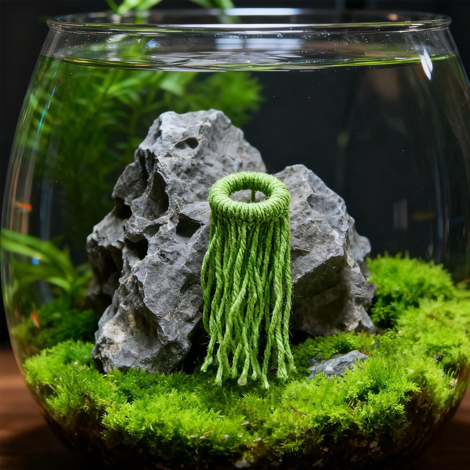 Aquatische Pflanzen-Legehilfe, – Aquarium Fish Eggs Bewertung und Preis