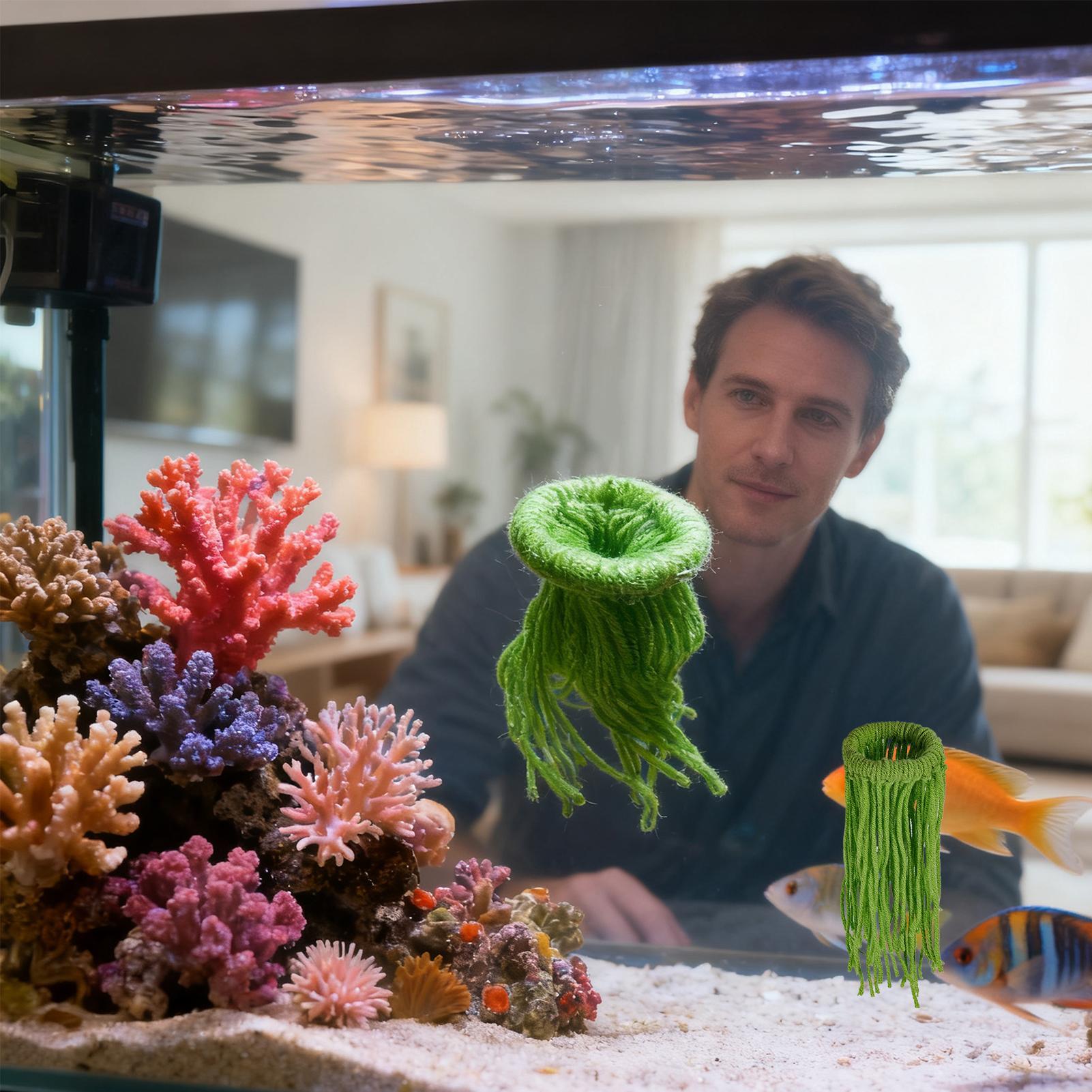 Aquatische Pflanzen-Legehilfe, – Aquarium Fish Eggs Bewertung und Preis