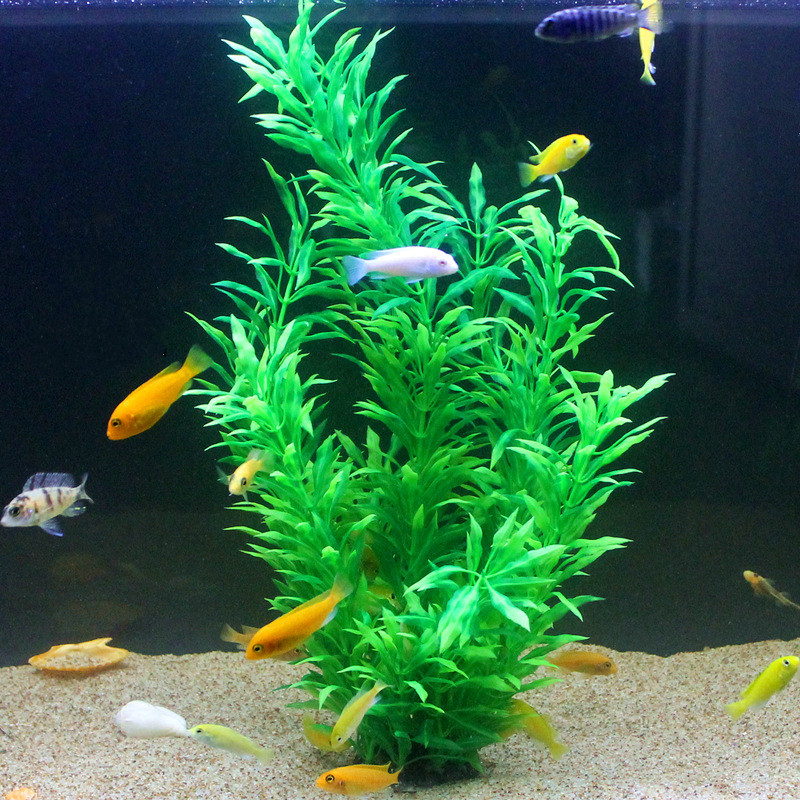 50CM Künstliche Aquarium Selte – Aquarium Fish Types Bewertung und Preis