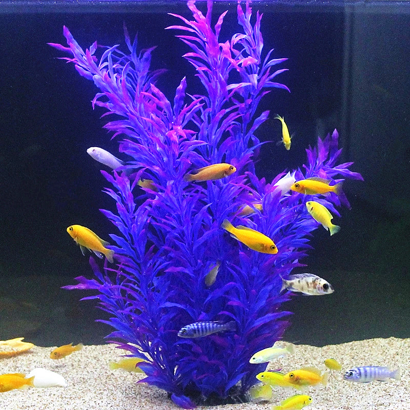 50CM Künstliche Aquarium Selte – Aquarium Fish Types Bewertung und Preis