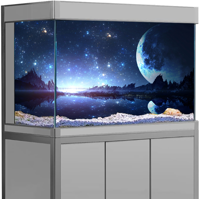 PVC Doppelseitiges Aquarium Hi – Aquarium Fish Poster Bewertung und Preis