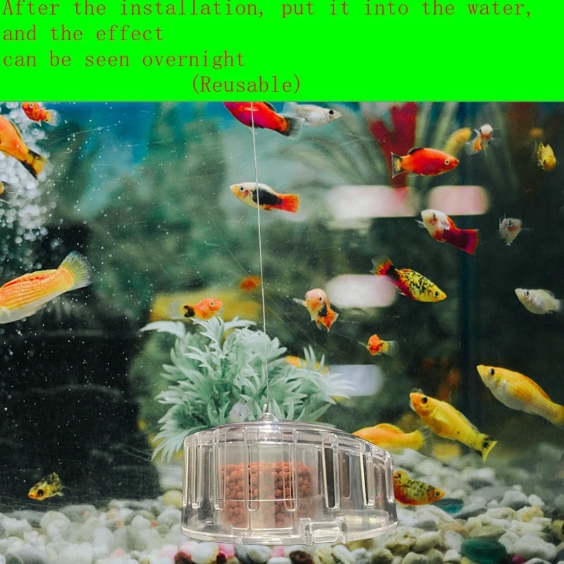 Aquarium Pflanze Schnecken fal – Aquarium Fish Eggs Bewertung und Preis