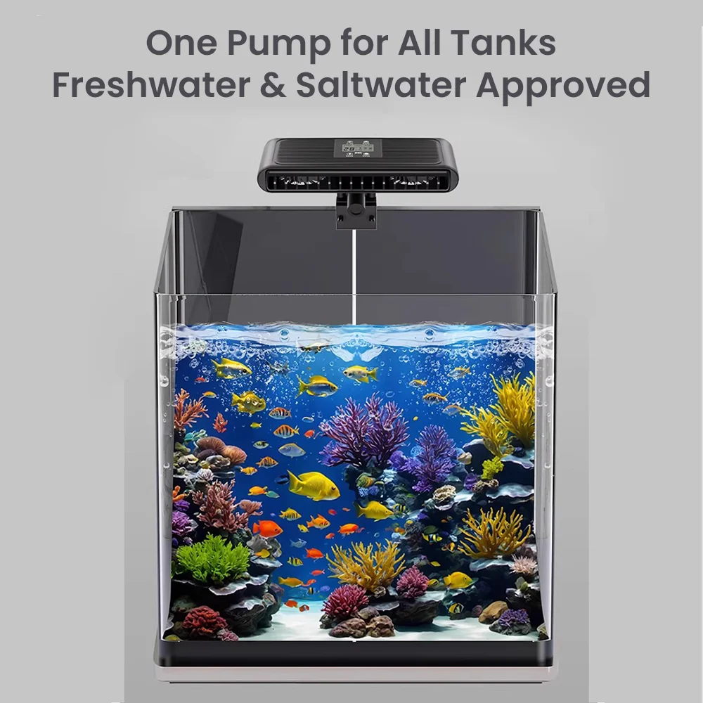 Fish Diary Aquarium-Lüfter Kal – Aquarium Fish Cold Water Bewertung und Preis