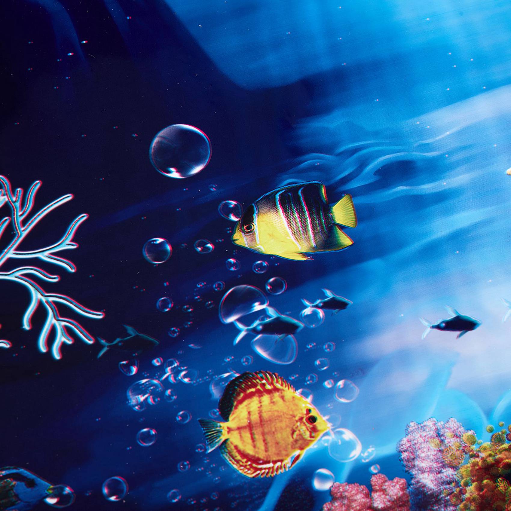 2X Blauer Frischer Meeres-Hint – Aquarium Fish Poster Bewertung und Preis