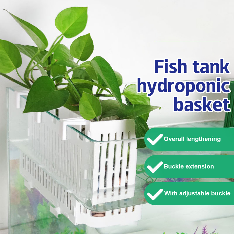 【F】Aquarium-Hängepflanzgefäß,  – Aquarium Fish Types Bewertung und Preis