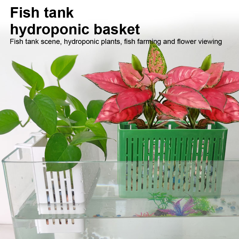 【F】Aquarium-Hängepflanzgefäß,  – Aquarium Fish Types Bewertung und Preis