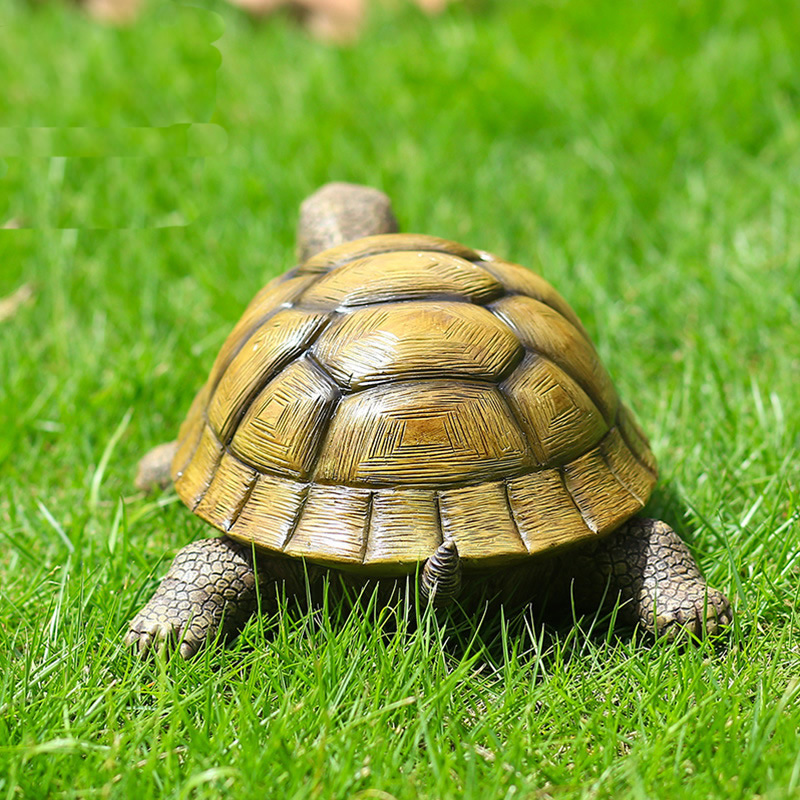 Niedliche dekorative Schildkrö – Aquarium Fish Types Bewertung und Preis