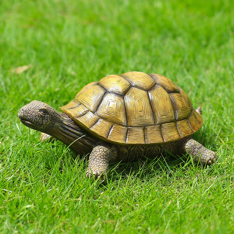 Niedliche dekorative Schildkrö – Aquarium Fish Types Bewertung und Preis